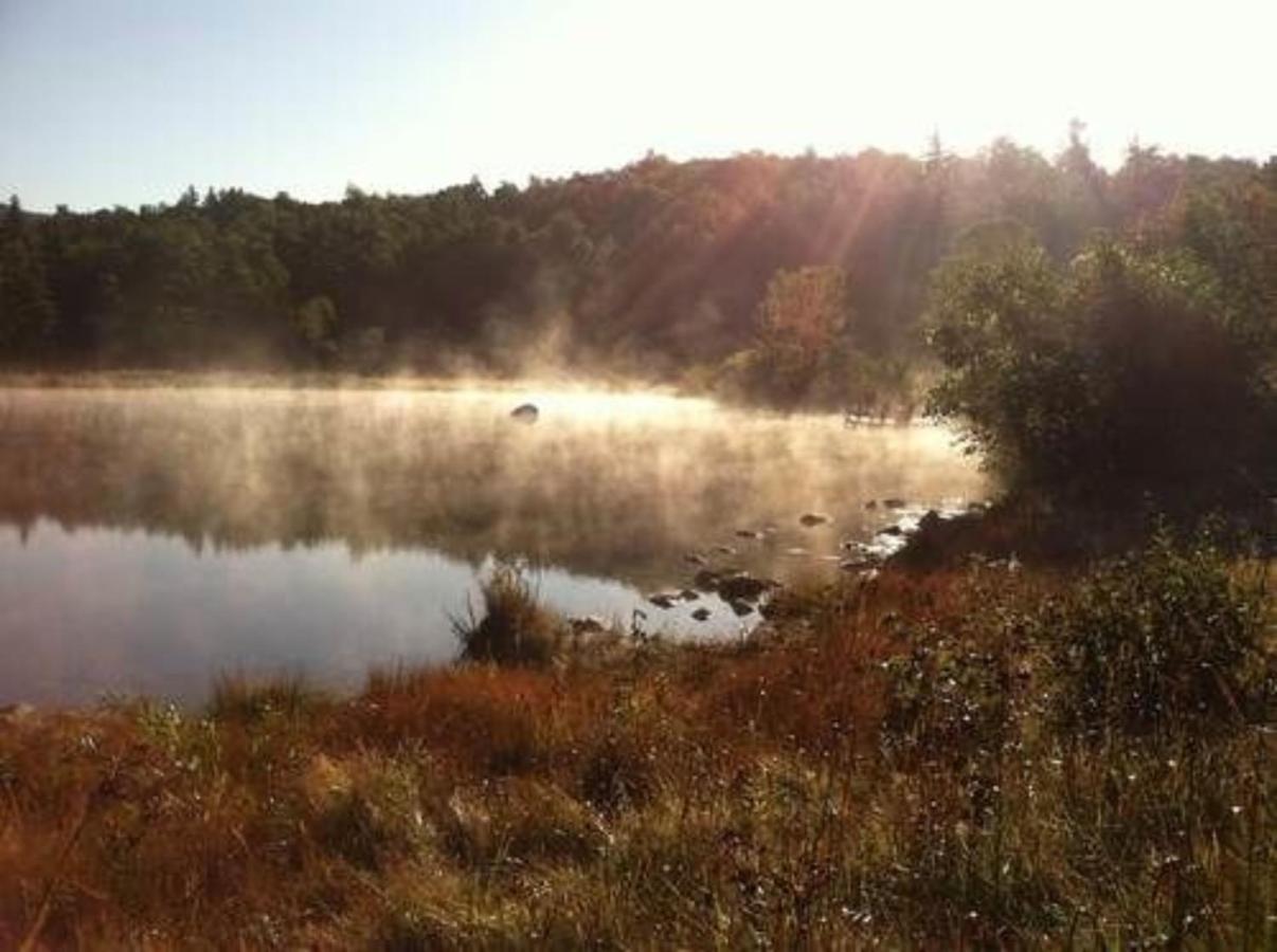 Bark Eater Inn Keene Bagian luar foto
